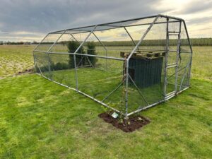 Kwekerij Krukla Klaaswaal - Eenden